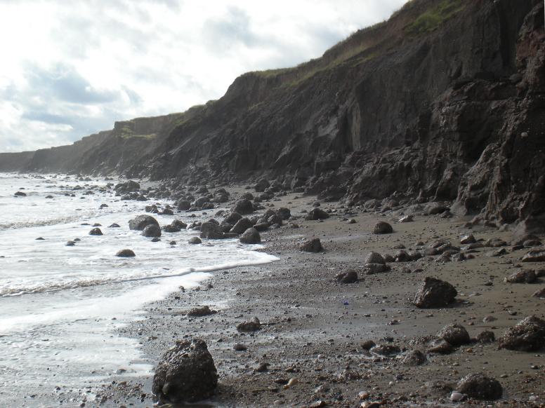  Holderness-8-2 (776x582).jpg1 
